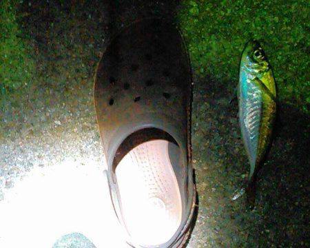 ドリフトアジング